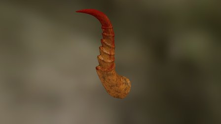 Horn 3D Model