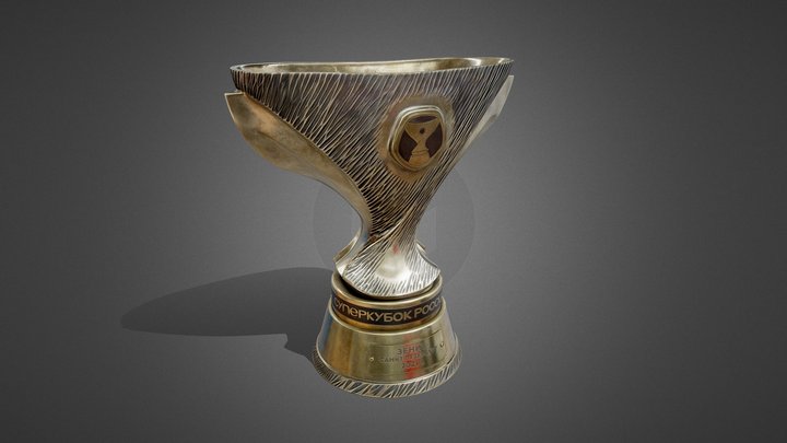 Supercup Russia 2021 3D Model