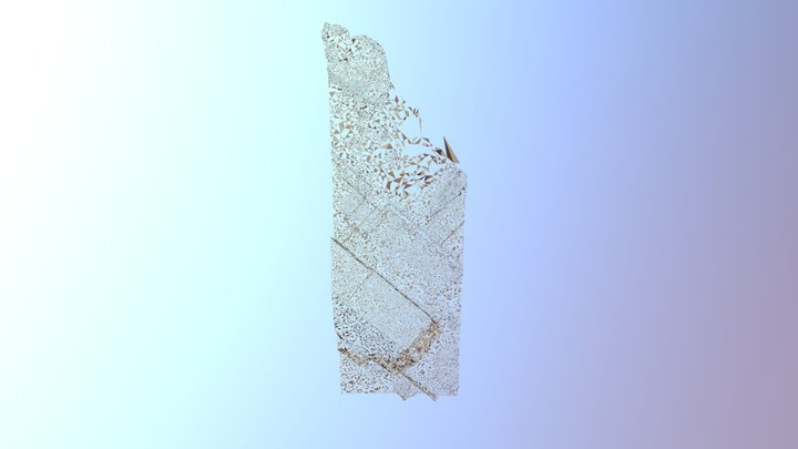 4-7 3D Model