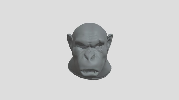 Koba Sculpting Sculptris 3D Model