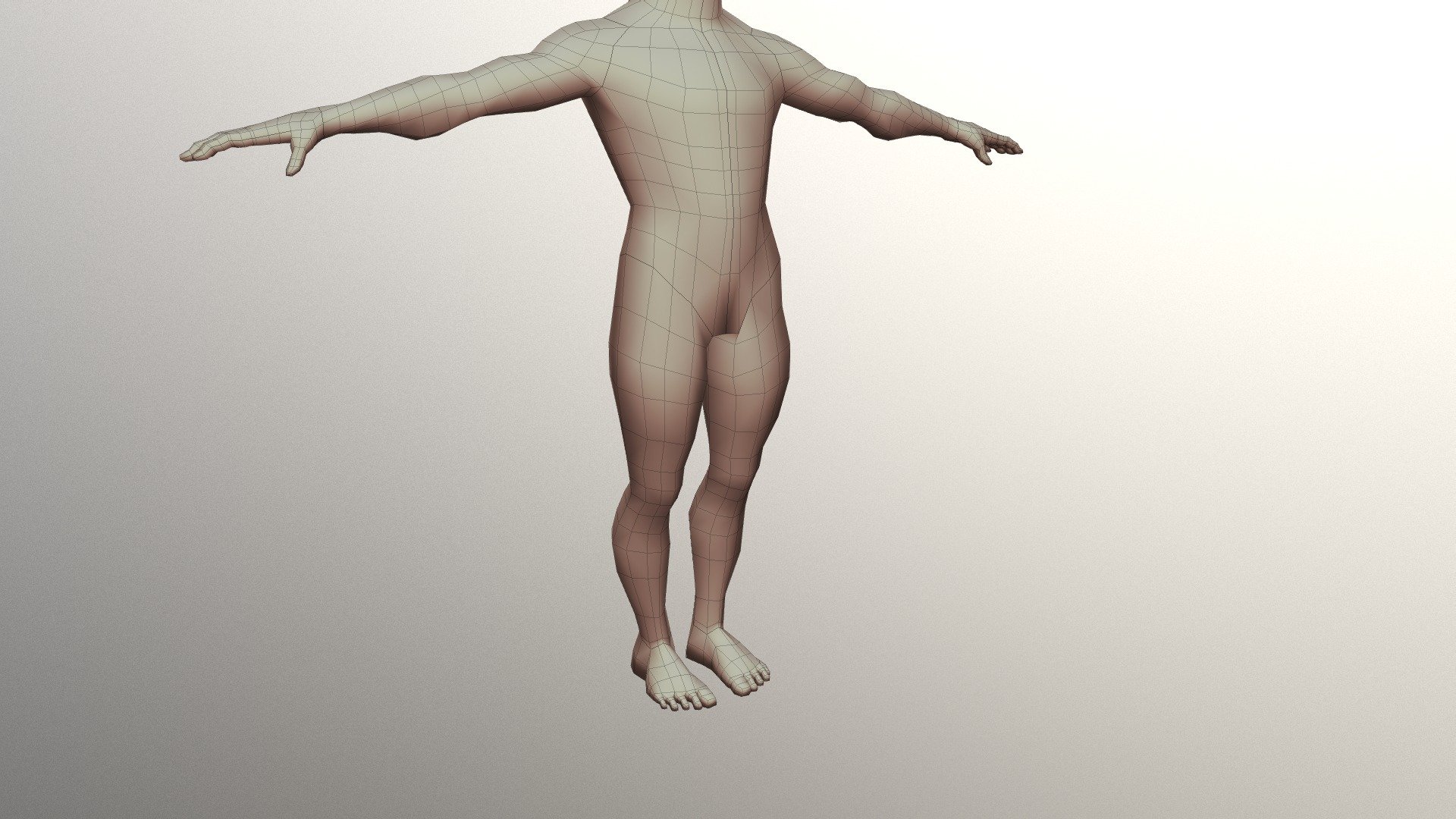 Human Male Body