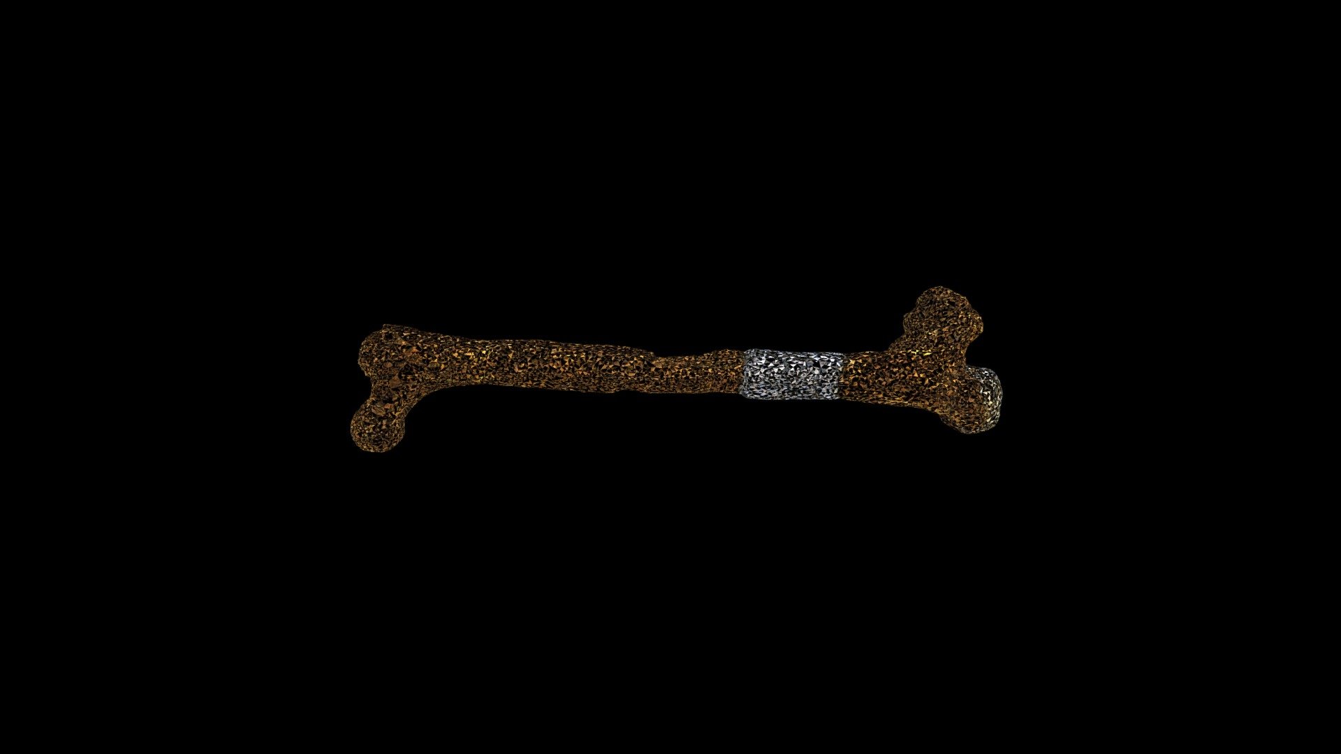 Lucy Femur - 3D model by seminarsonscience [8832b72] - Sketchfab