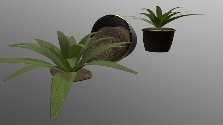 Pot Plant (Standing and Fallen) – Free 3D Model STL