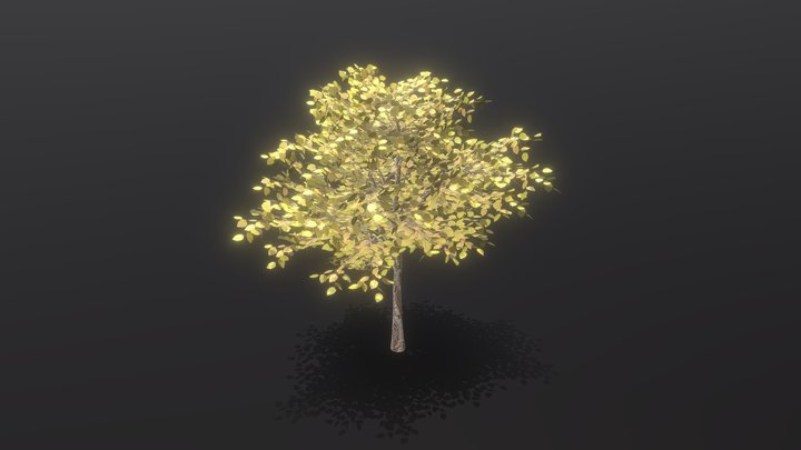 Medium_tree 3D Model