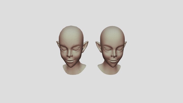 Face Mesh 3D Model