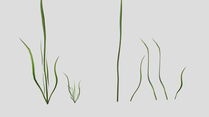 Simple Grass – Free 3D Model STL