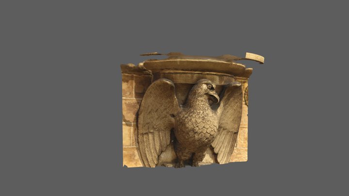 Griffin 3D Model