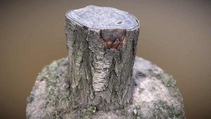 Stump in the meadow 2 – Modelo 3D gratuito STL