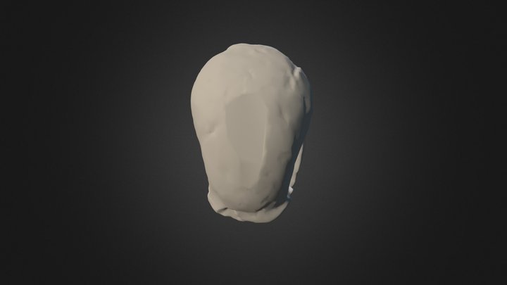 Homo neanderthalensis - La Ferrassie - man 3D Model