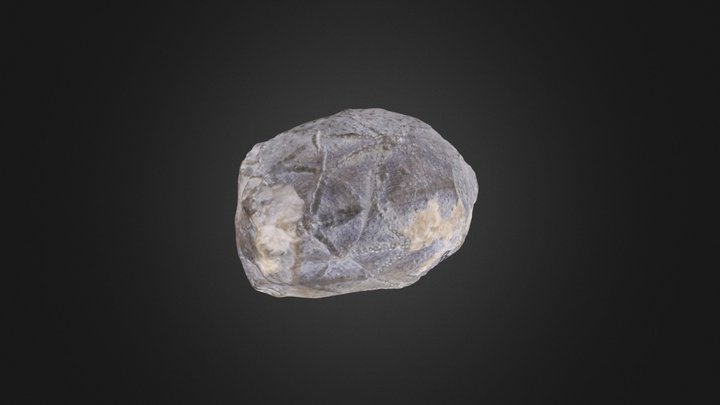 Cystoid: Caryocrinites ornatus (PRI 76779)