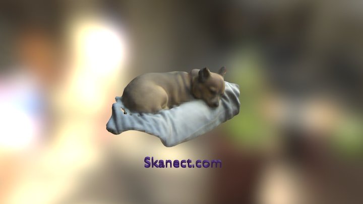 New Skanect Model 3D Model