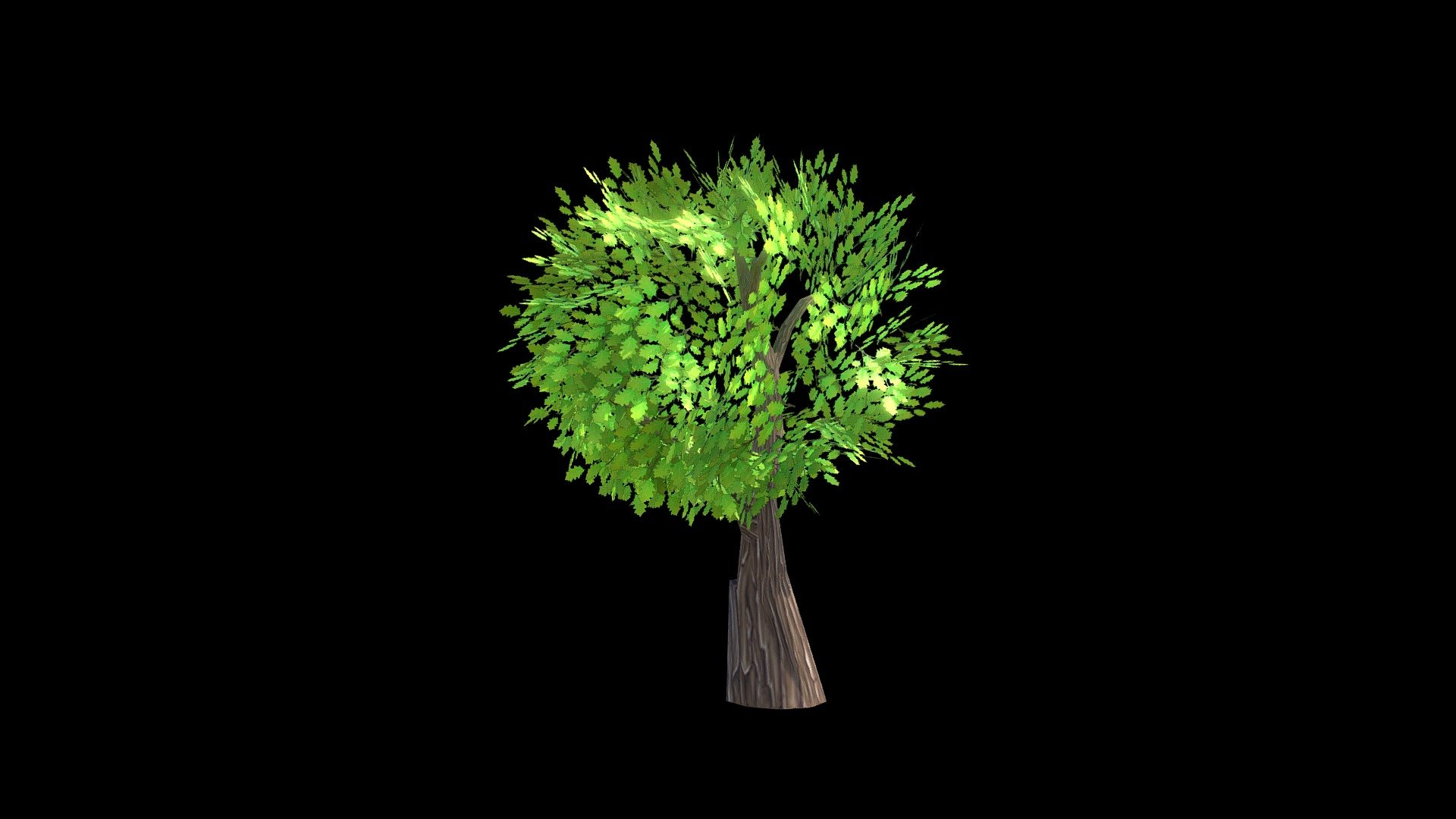 Roble