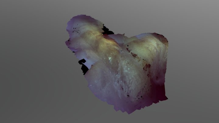 Trawl marks left behind by fishing gear 3D Model