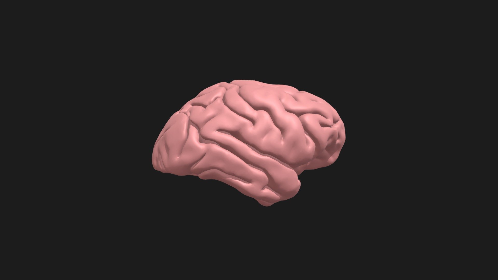 Chimpanzee Brain from MRI - Download Free 3D model by VISIBLE APE ...