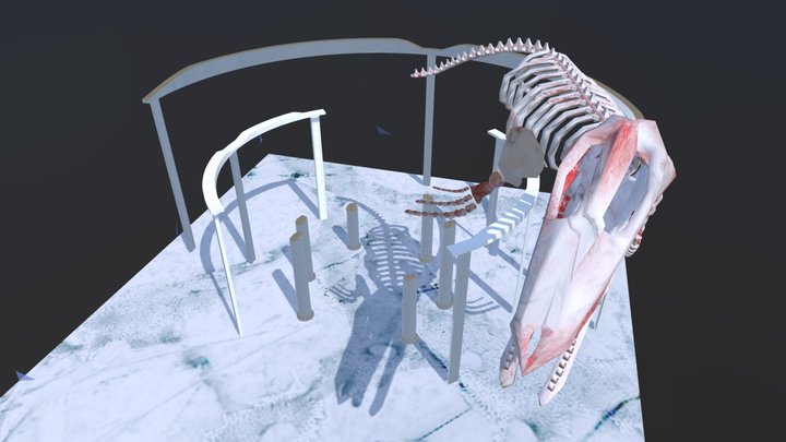 1071448054_鄭雅文_The Whale 3D Model