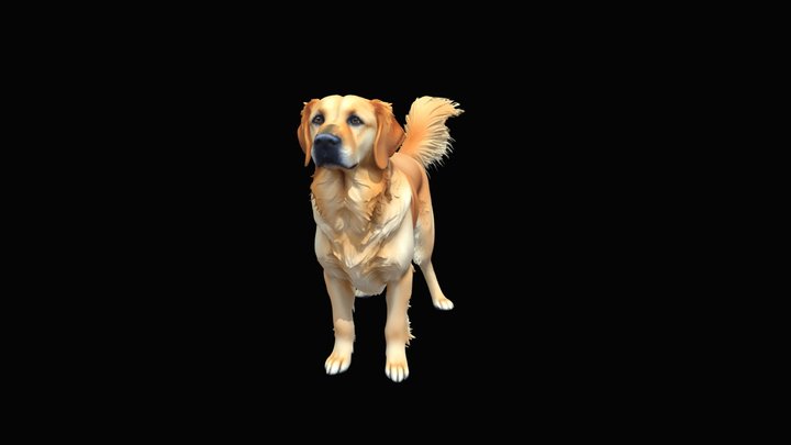 Family Dog 3D Model