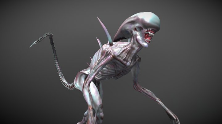 Alien 3D Model