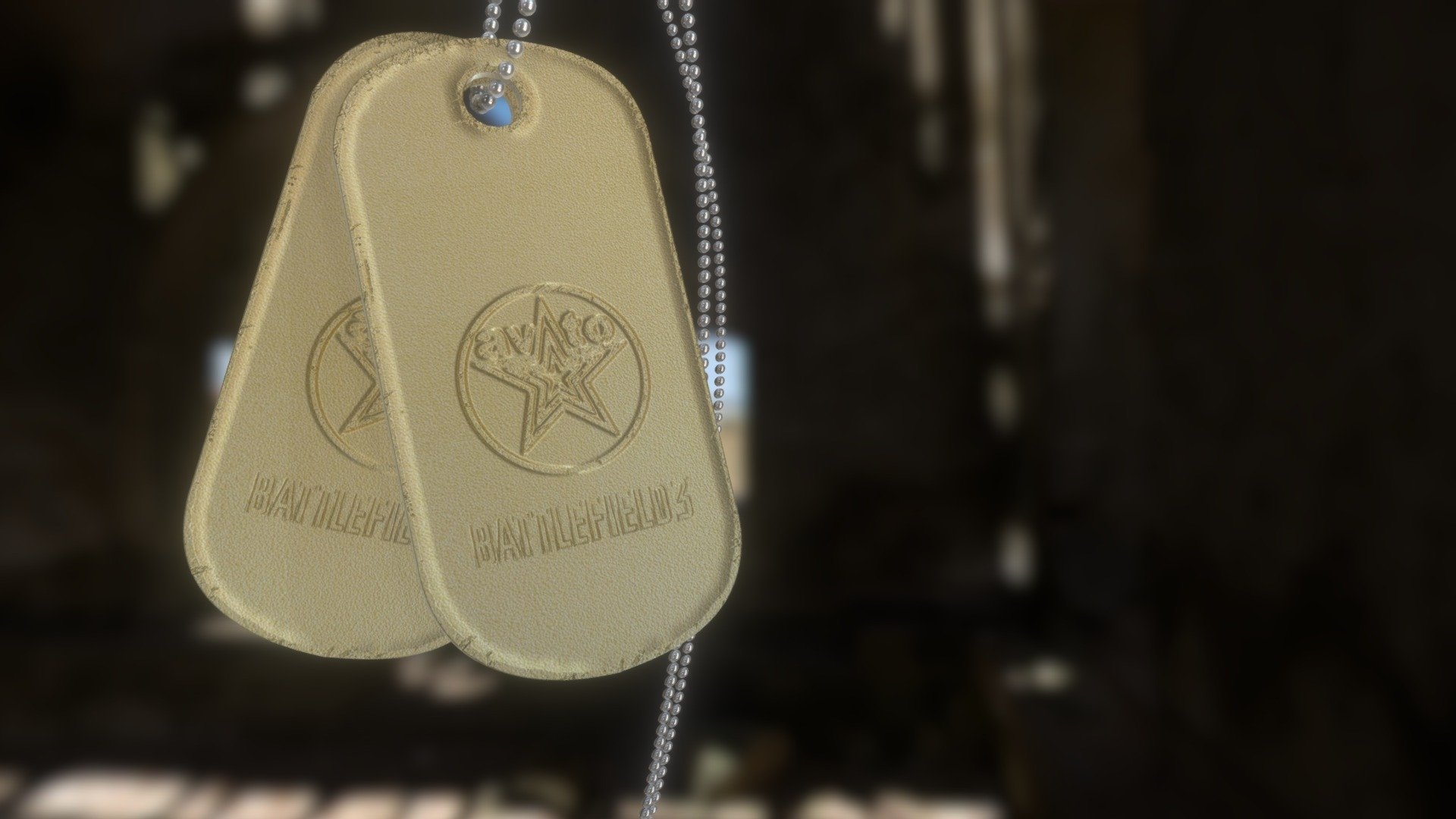 Dogtags + chain