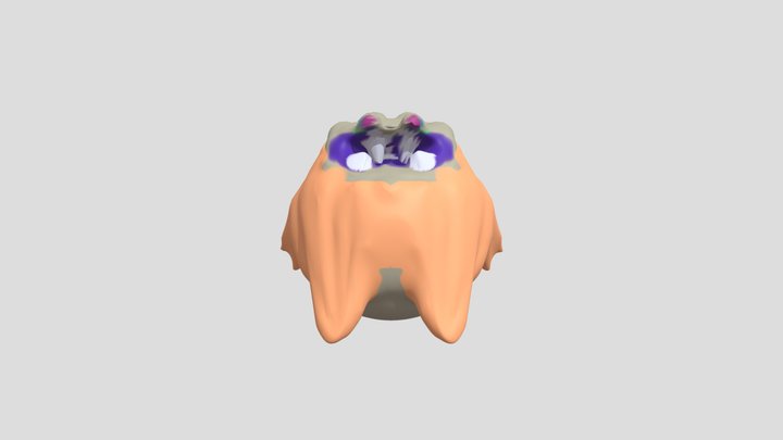 Frog man 3D Model