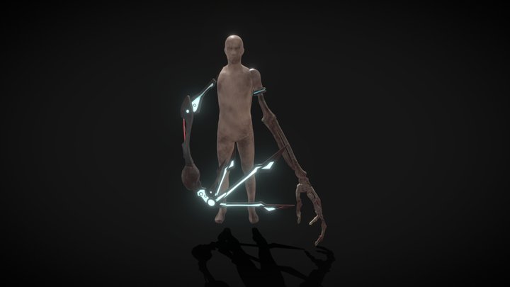 calnecaarmswithstand2 3D Model