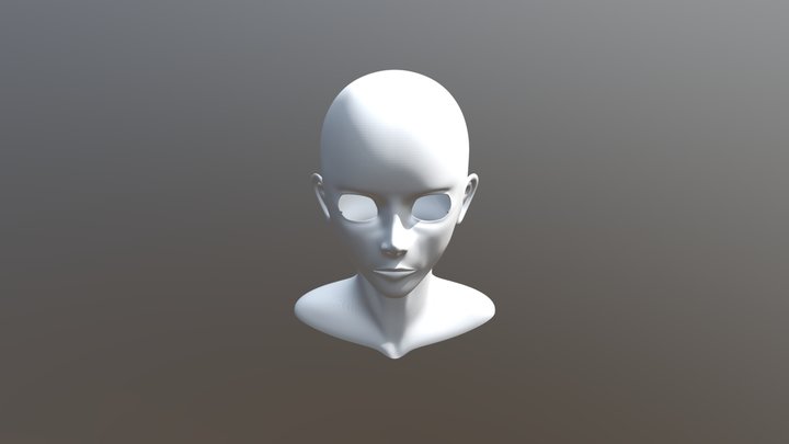 Face #5 3D Model