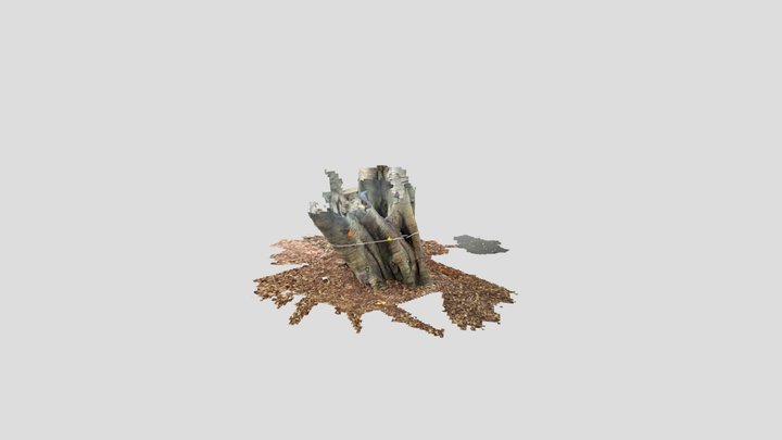 TP05962 3D Model
