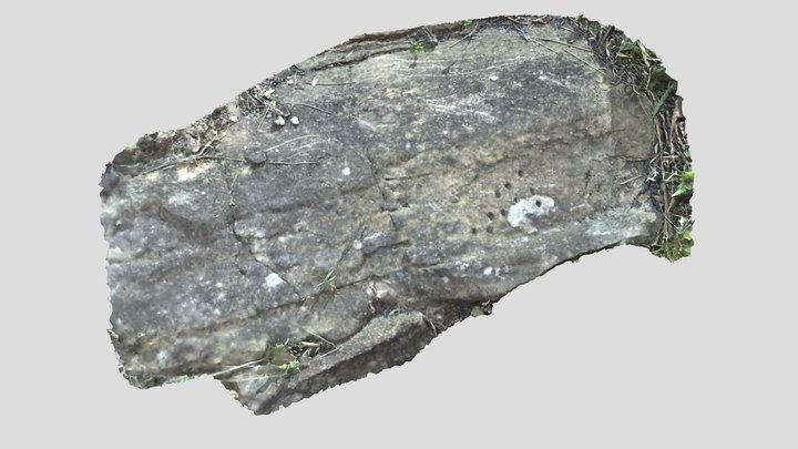 Sítio Arqueológico Morro do Nhangussu - Cupules 3D Model