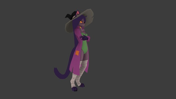 Cat Witch 3D Model