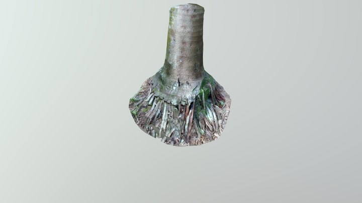 Pokok Pinang 2 3D Model