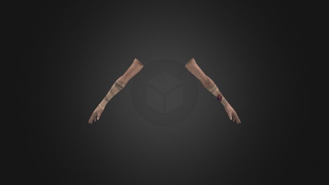 First Person Arms 3D Model