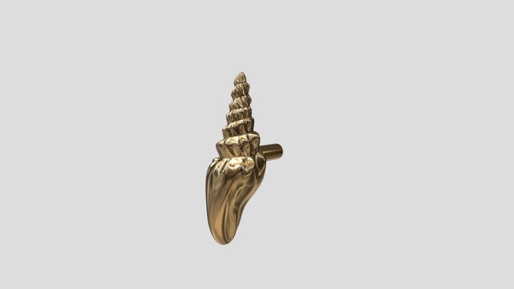 ракушка большая 3D Model