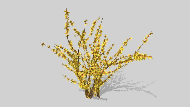 Low poly Bush (Forsythia) 3D Model