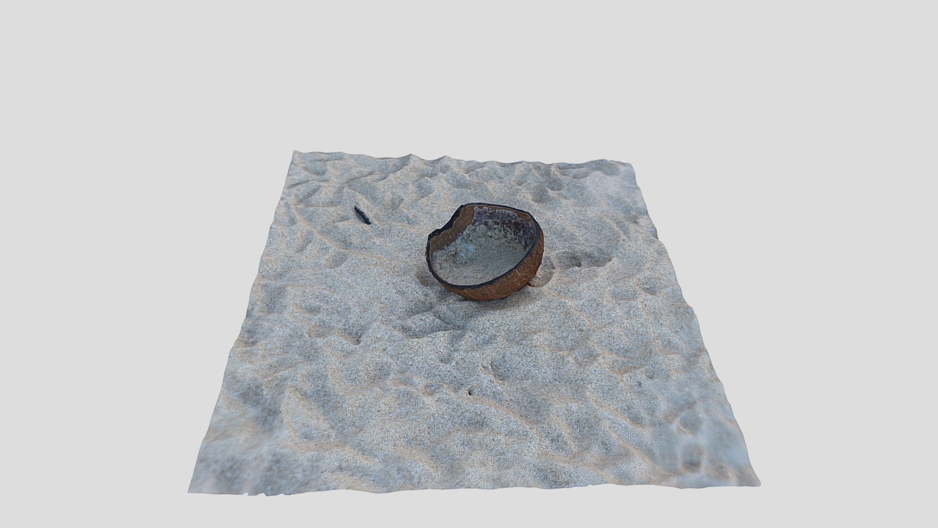 Coconut in the sand