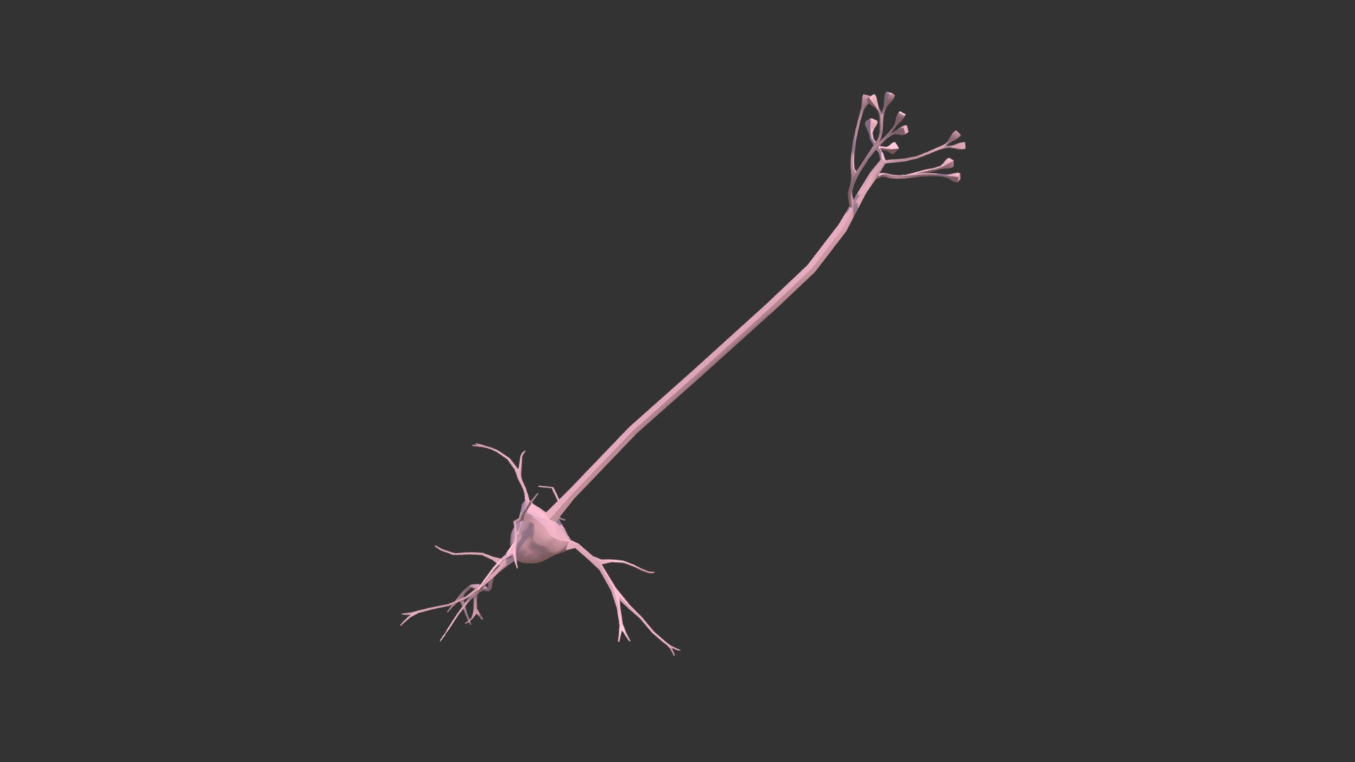 3D model Neuron - This is a 3D model of the Neuron. The 3D model is about a drawing of a unicorn.