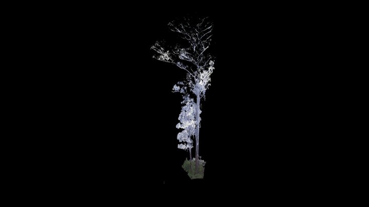 AR OPT 2 Subsampled 3D Model