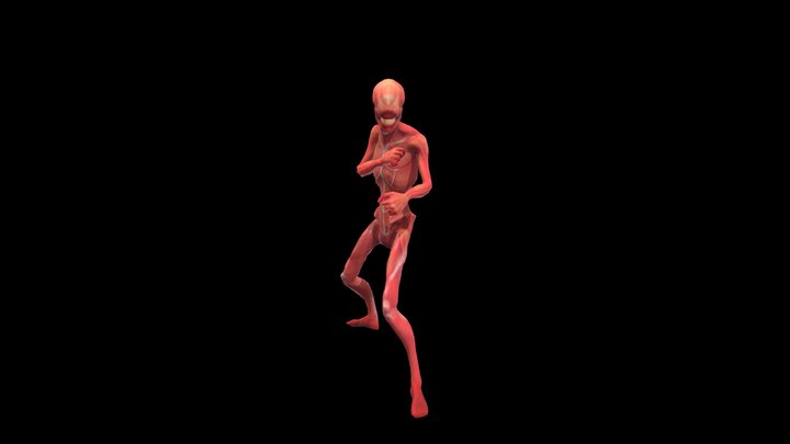 Fist Fight A (12) 3D Model