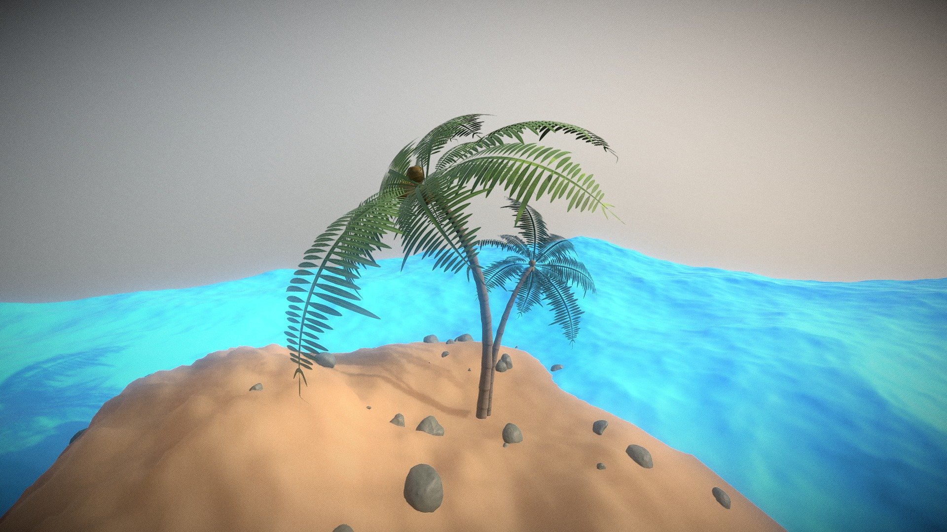 Palm Tree on Beach
