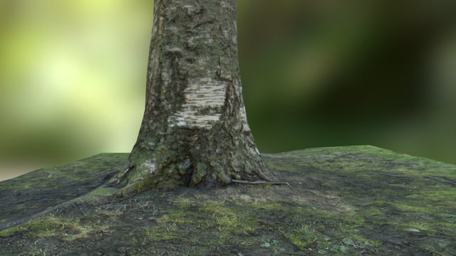 Photogrammetric tree 3D Model