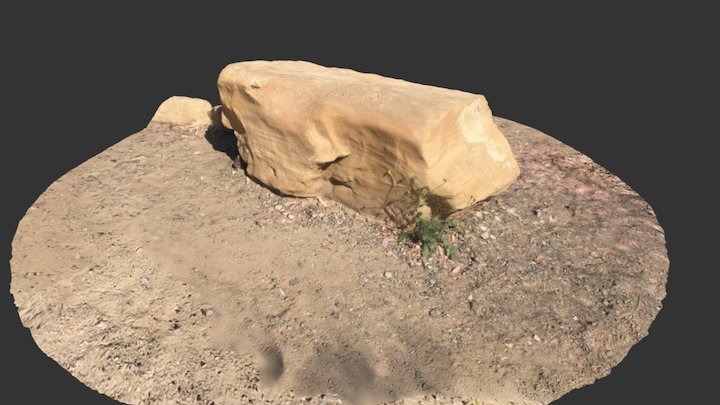 Ag_tanRock_001   RapidCapture Test 3D Model