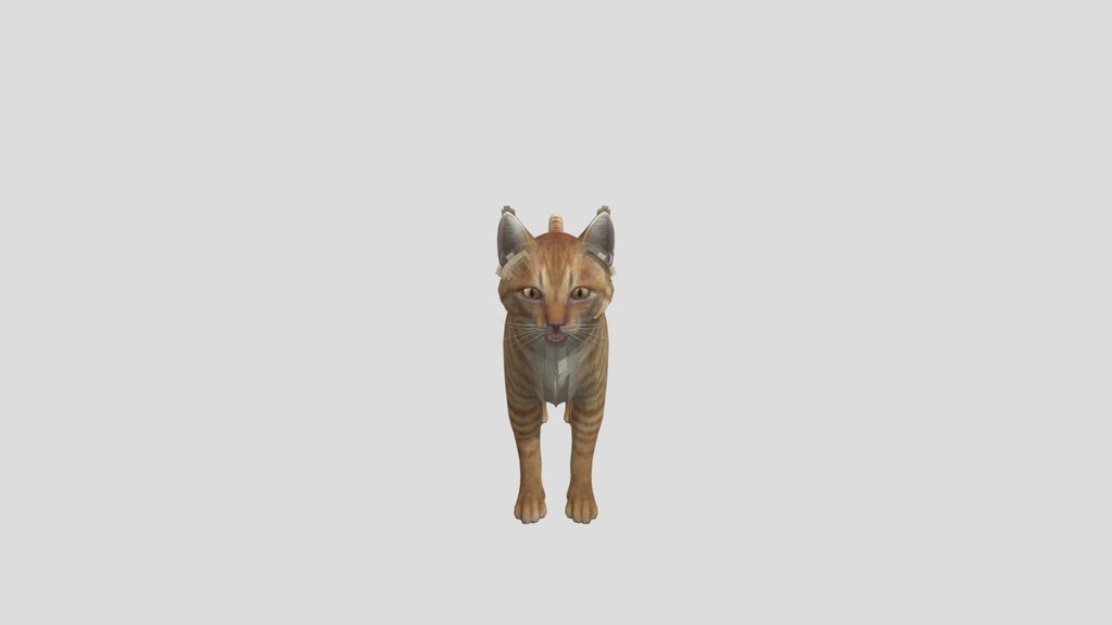 cat from burglin gnomes