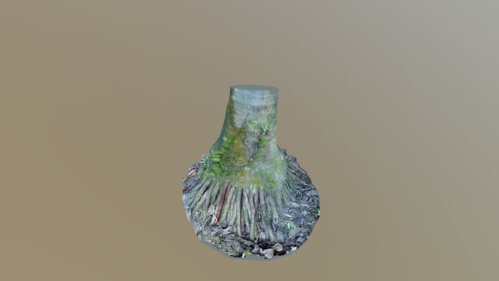 Pokok Pinang 3 3D Model