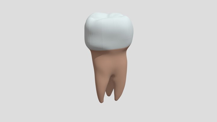 Very Low poly tooth 3D Model