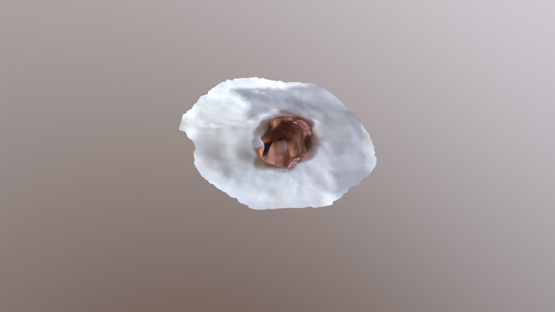 Sumo - 3DScan Assignment
