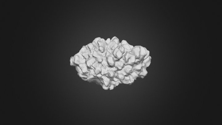 20251124_Hailstone_24 3D Model