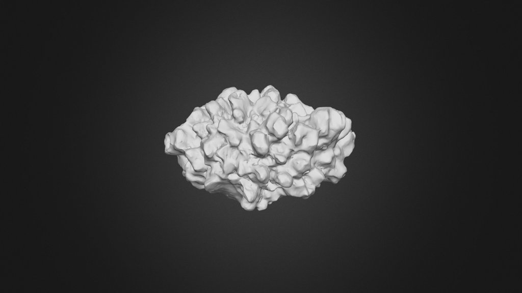 20251124_Hailstone_24