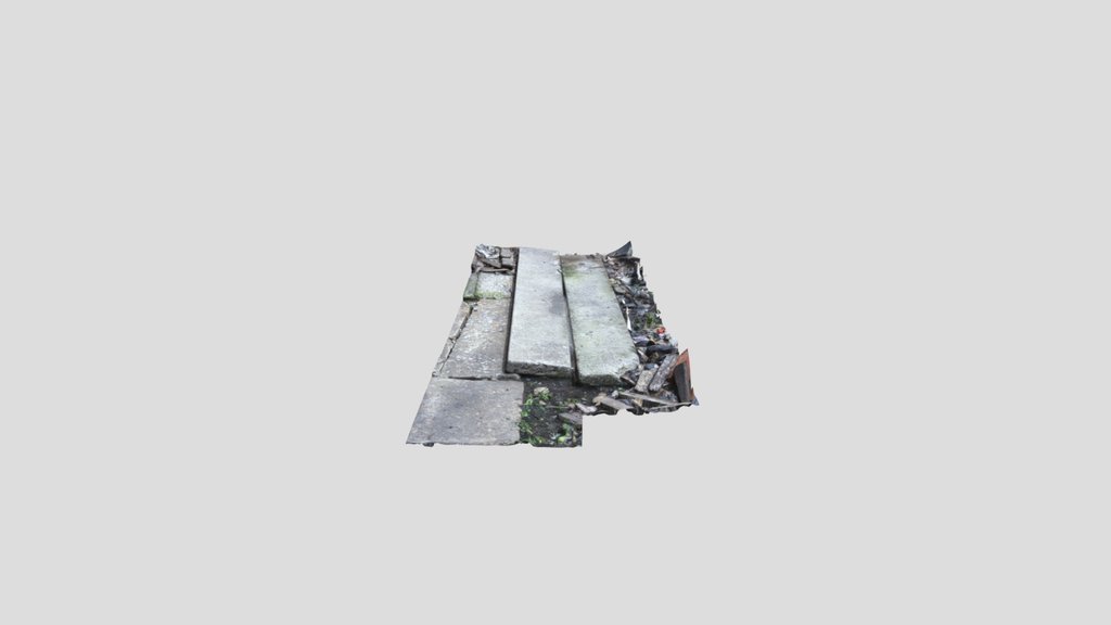 Scan Elongated Flagstone
