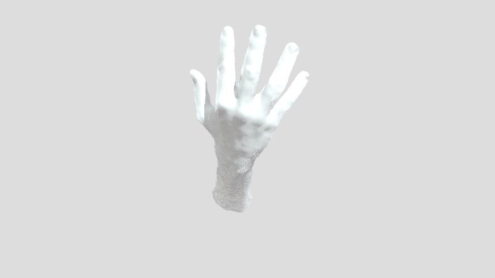 Hand point cloud 3D Model