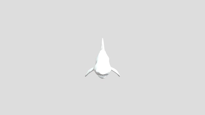 Spotted Shark Illustration 3D Model