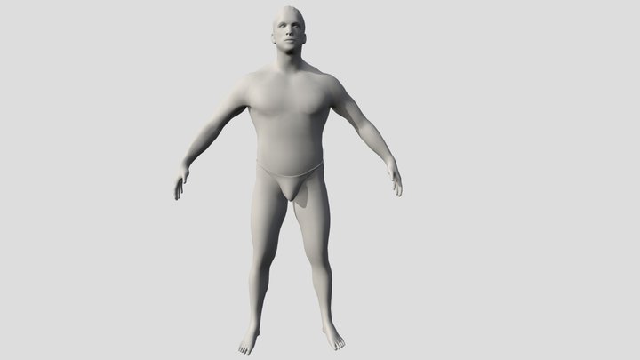 CUERPO HUMANO MODEL - ANIMUM 3D Model