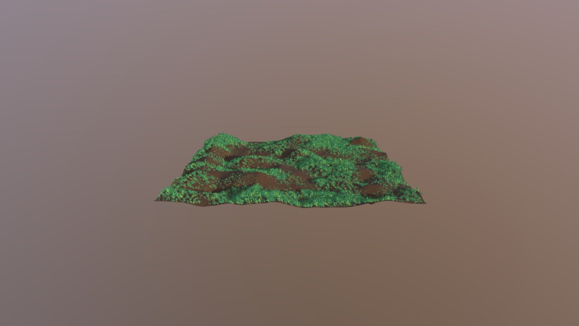 Grass Field